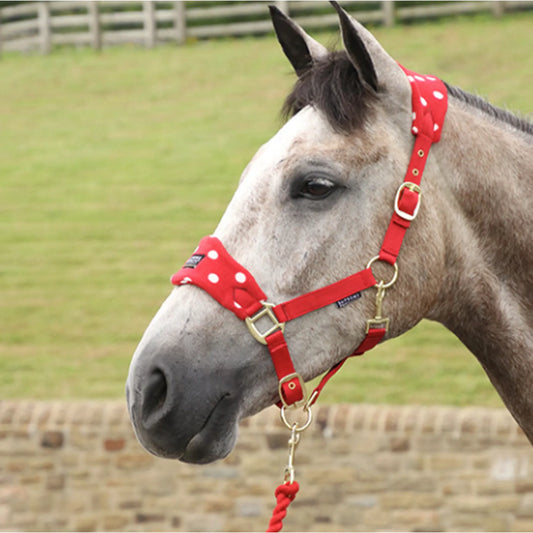 Cob Supreme Products Headcollar and Leadrope